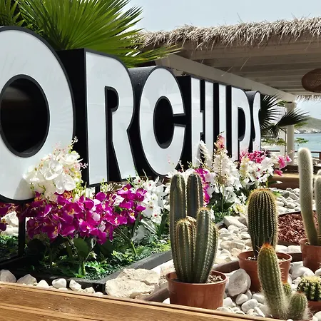 Orchids 酒店 Sarandë
